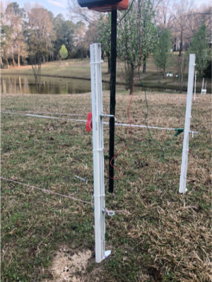 electric fence in wooded area surrounding a fruit orchard